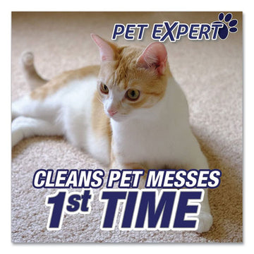 RESOLVE® Pet High Traffic Foam Carpet And Upholstery Cleaner, 22 Oz Aerosol Spray freeshipping - TVN Wholesale